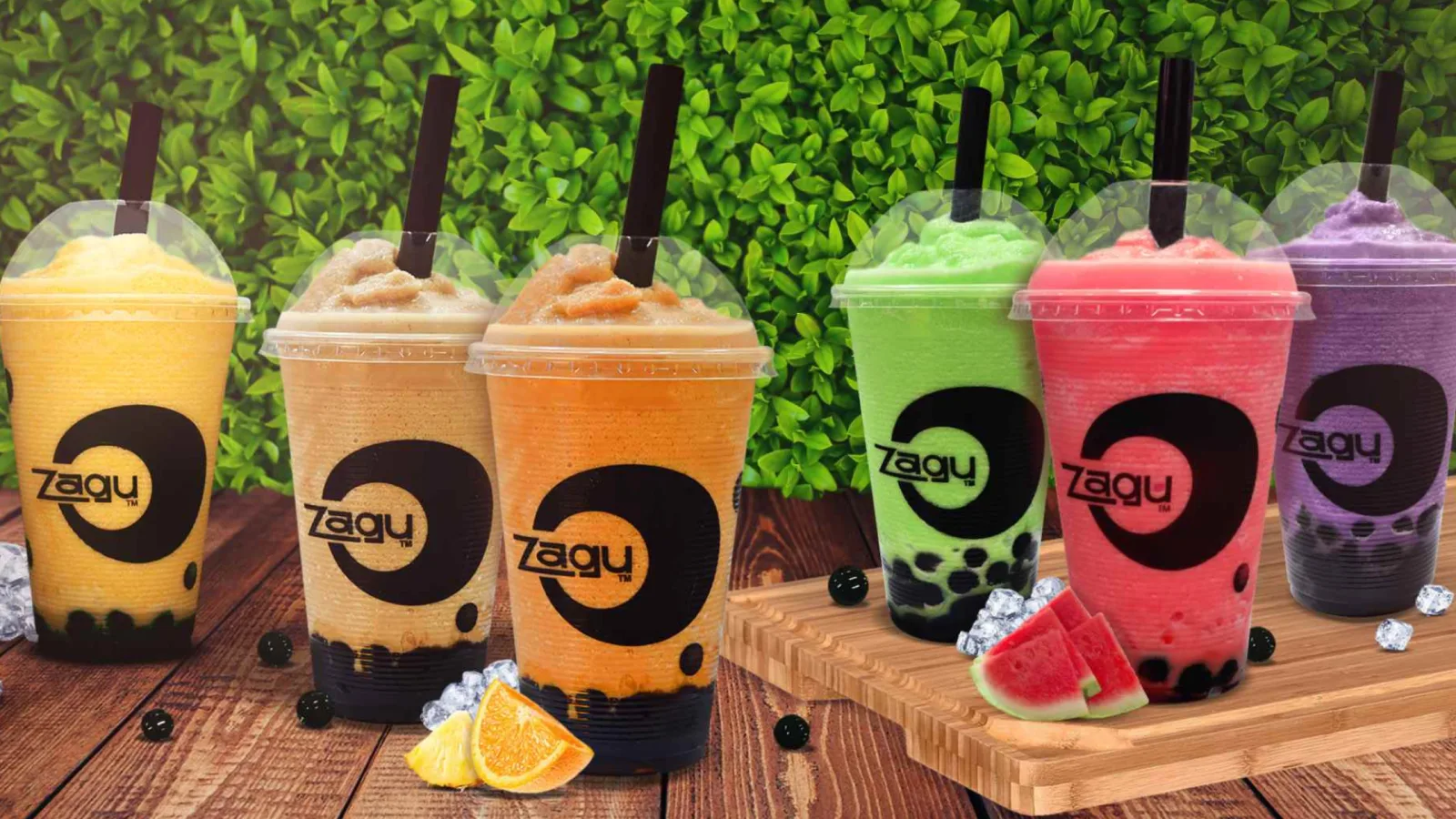 Success Stories – Zagu