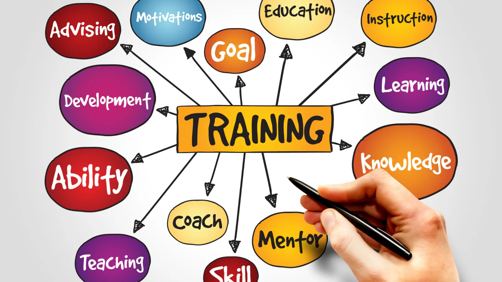 The Key Role of Training in Sustaining Quality Standards for Food Franchises